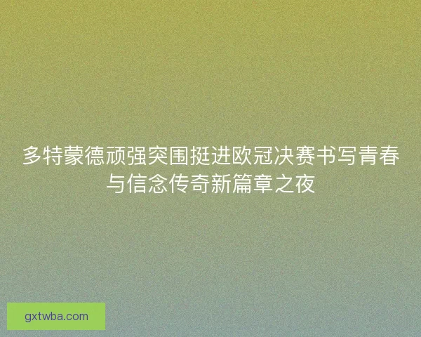多特蒙德顽强突围挺进欧冠决赛书写青春与信念传奇新篇章之夜